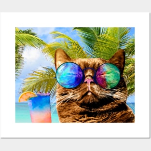 Funny Cat on Beach 675 Posters and Art